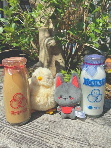 瓶の牛乳はなんだか美味しく感じるね🥛
沢山飲んで強くなるんだよ