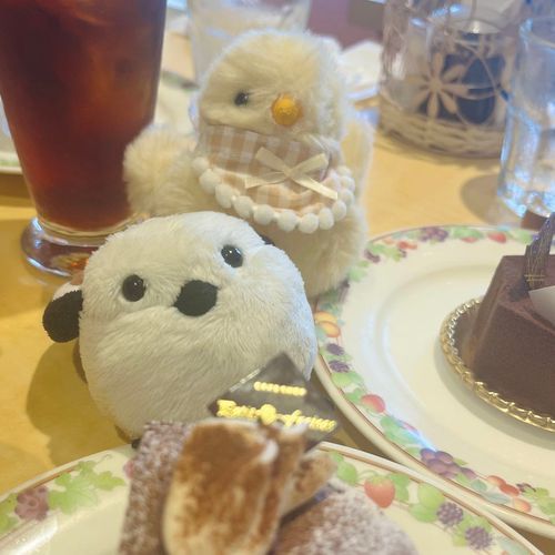 お友達とケーキ食べたよ