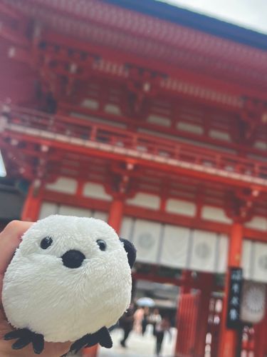 朱色が綺麗だね