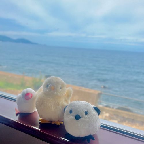 みんなと旅行だね🚃