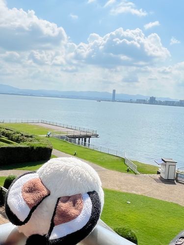 大きな湖だね