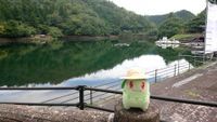 きらひよ