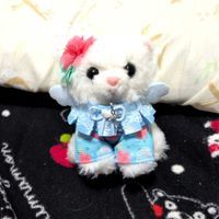 きらひよ