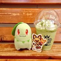 きらひよ