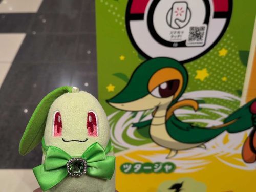おはようございます🎶