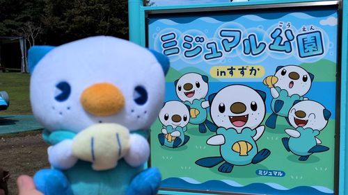 おはようございます🎶