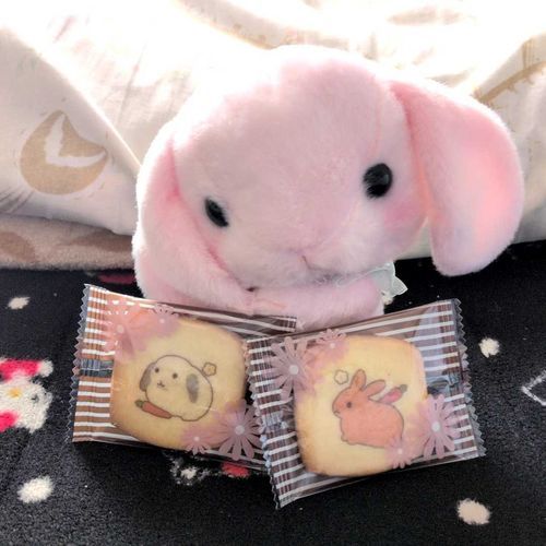 姉からお土産のクッキー貰った🐰 可愛い💕