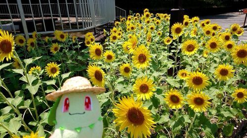 おはようございます🎶 