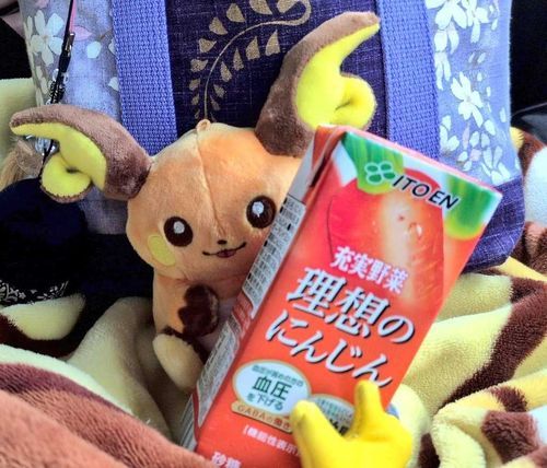 おはようございます🎶