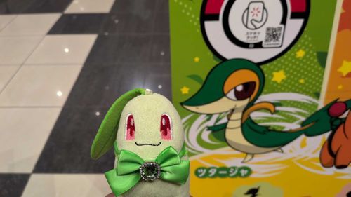 おはようございます🎶