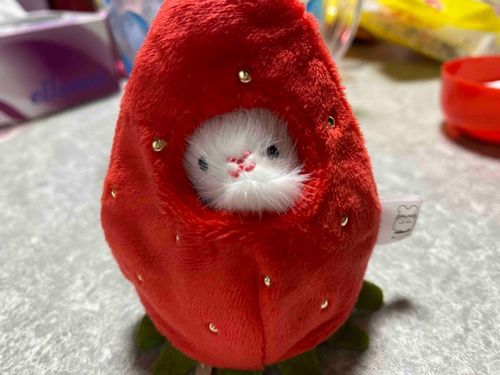 いちごになってみたよ☺️