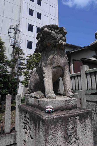 ちょっとおじゃまします