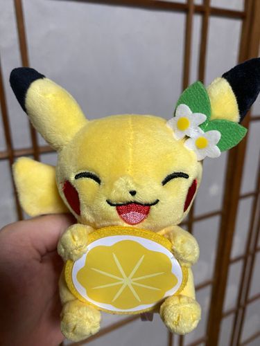 ひろしまからやってきました
ピカチュウです