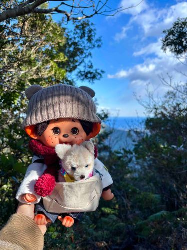 お正月は、家族みんなで近くのお山をトレッキングしたよ♪
遠くに海が見えて爽快だったよ〜！