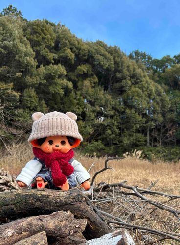 今日は風が強いけど、晴天☀️！
薪🪵仕事のお手伝いしてるよ♪