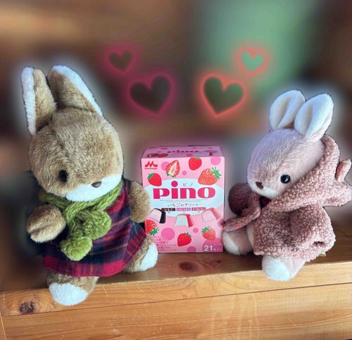 いちご🍓味の限定モノには、抗えない自信があるよ！