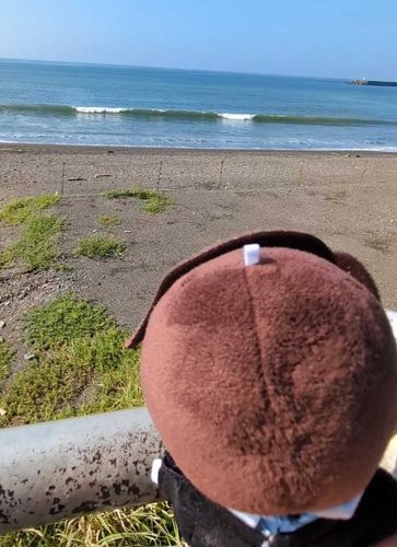 夏だね。