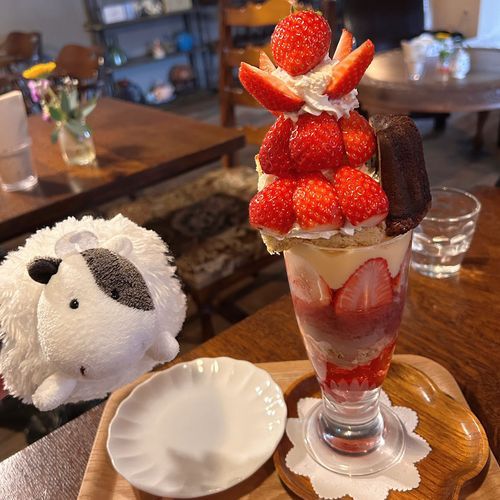 もちゃ おっき〜〜〜いいちごぱふぇ たべたんだモ🍓きらきら〜モ🍓✨️✨️