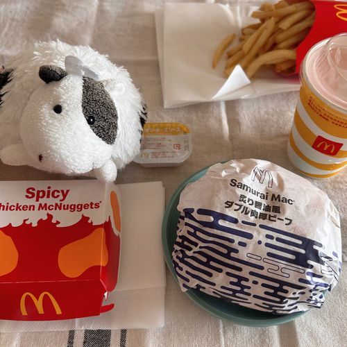 ちょっとまえの わるどかっぷのはんばーがーモ🍔
なげっとからくて ひーひー だったモ！