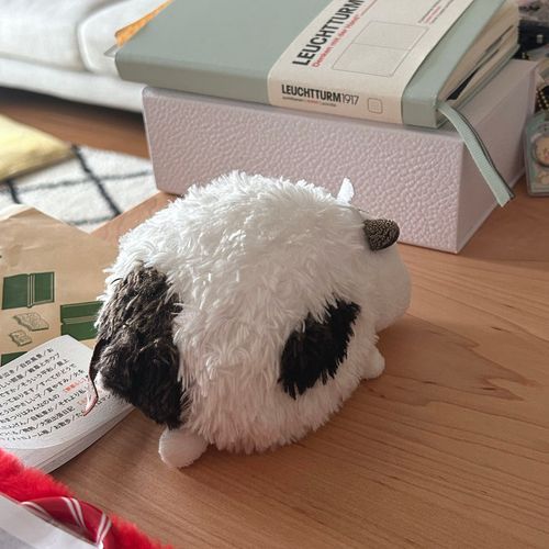 すねすね もーたろ(😭) よしよし😭😭