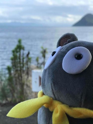 夏に こすぎちゃんと 🏖