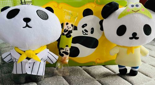 おともだち に もらった ぱんださんの おやつ🐼🐼