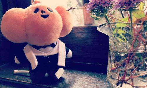 🎃🌸