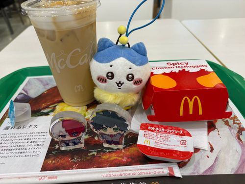 再販してた🐝ははちわれちゃんでした