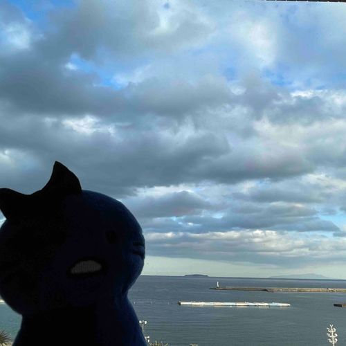 ねこひよこちゃん、海だよ…

光のせいでラスボスみたいだねねこひよこちゃん…