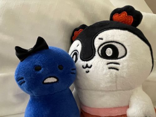 じっ…