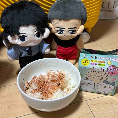 「叉焼飯じゃない...?ふりかけ飯...？」
「引越し前でこれしか食べられないらしい」