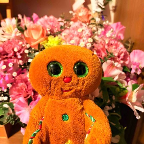ママのママがけっこんきねん30しゅうねんだって
とおくのおばあちゃんからおはながとどいた
ピンクできれい
もうすぐはるがくるね