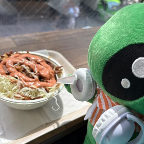 モーゼスサンのケバブを食べたゾ！
ケバブライスはオコメがアツアツでトテモ美味しカッタ！
オニクもコボレそうなクライはいってイテコスパ最強！