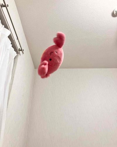 ぴょーん