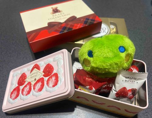 はっぴーばれんたいんだっち♪家主さんにチョコをたくさんもらってうれしいだっち♪おなかいっぱいでしあわせだっち♪
