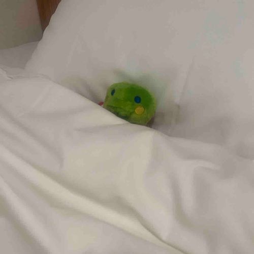 おおきくてふかふかなべっどでまたねたいだっち♪みんなおやすみだっち♪いいゆめがみられますようにだっち...♪