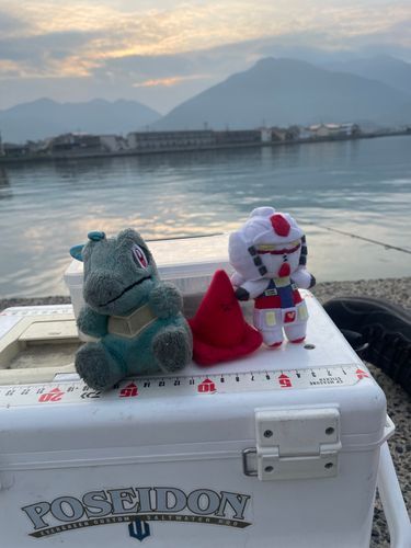 海の日なので〜
いつも一緒に冒険してるワニノコ〜とガンダムさんと3角コーンさん