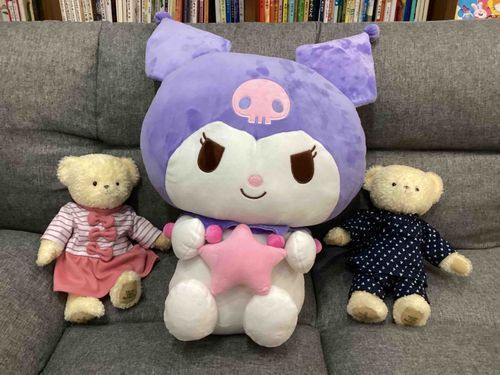 あたらしいおともだちがおうちにきたよ❣️
一番くじのクロミちゃんって言うんだって🖤