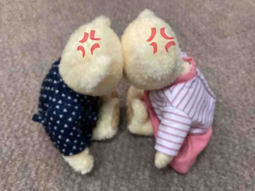 はじめてけんかした(T . T)
理由はみかんかりんごどっちが美味しいかです、、、