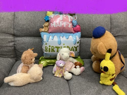 今日はぴんちゃんの誕生日！！🎂🎉
みんなでお祝いしたよ♪🥂