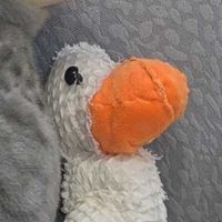 ふわもこのおともだち