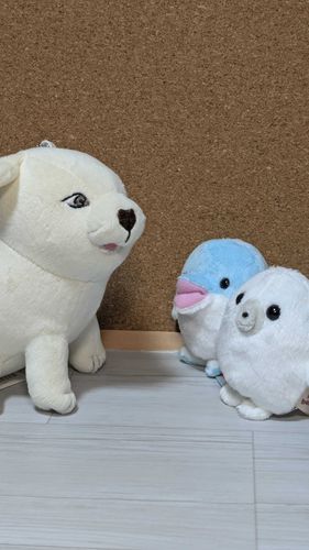 新入リガキタ