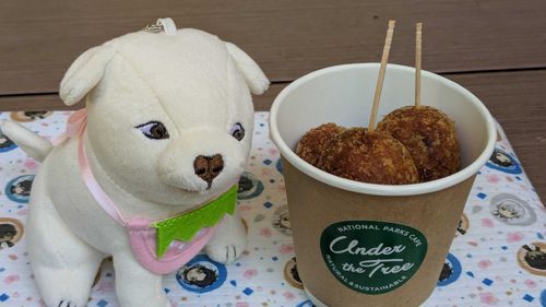 らいすぼーるト俺