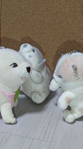 犬(弟子)ガ増エタ…