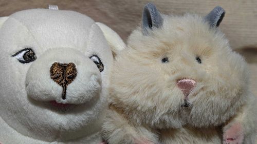 マタ新入リガ来タ