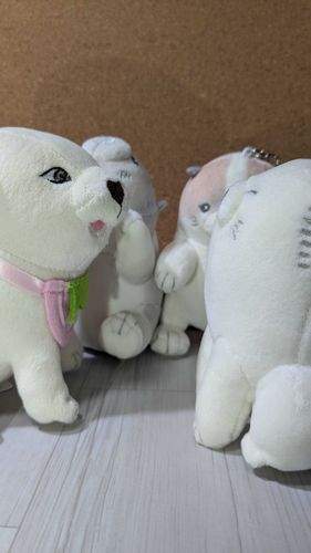 「ワタクシ、蘆雪犬三兄弟最後の犬デス。今日からお世話になりマス」