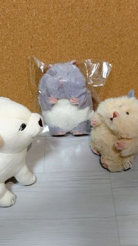 犬、これね、弟
「袋ノ中デ潰レテルガ大丈夫カ？」