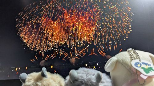 ミンナデ花火ノ中継見タ