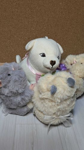 犬ー、はむの日だぞ(ﾜﾗﾜﾗﾜﾗ)「囲ムナ！」