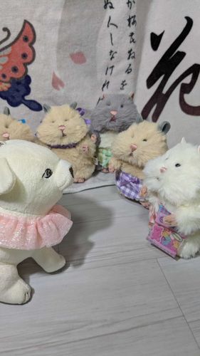 犬、新しい弟
「ドンダケ増エルンダ」